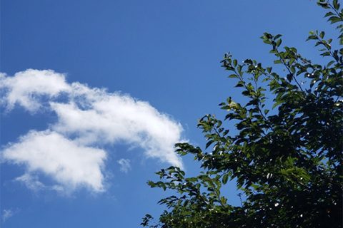 休校日・長期休暇にも対応